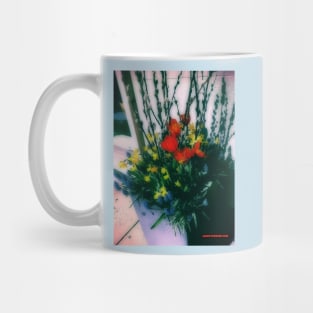 Rittenhouse Square Flower Bouquet photo Mug